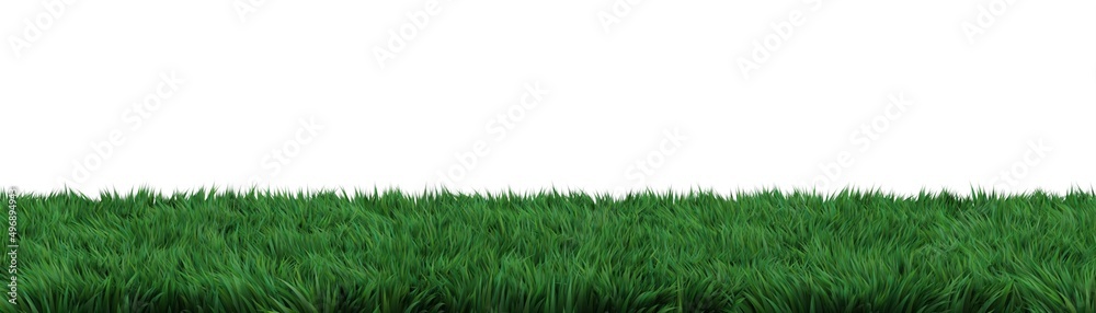 panoramic banner with grass on white background panoramic banner with grass on white background