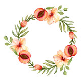 Spring watercolor wreath. Hand-drawn peaches and peach flowers are collected in a circle on a white background.