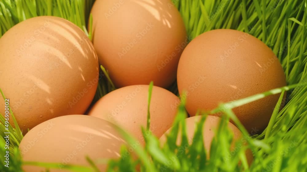 Chicken egg, rotation shot, Chicken fresh raw eggs.Healthy fresh food ingredients for breakfast. Animal products. Grocery. Chicken farm fresh eggs Chicken egg, rotation shot, Chicken fresh raw eggs.Healthy fresh food ingredients for breakfast. Animal products. Grocery. Chicken farm fresh eggs