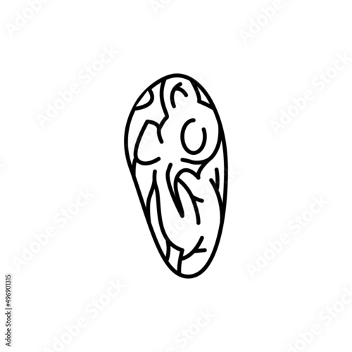 Beef shoulder cut color line icon. Cutting meat.