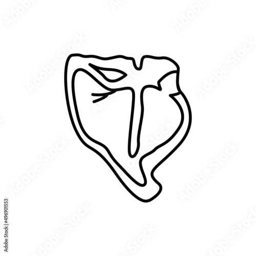 Steak beef porterhouse color line icon. Cutting meat.