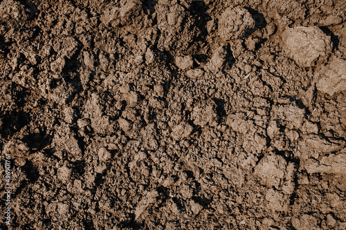 Background, texture of dug up brown earth, soil.