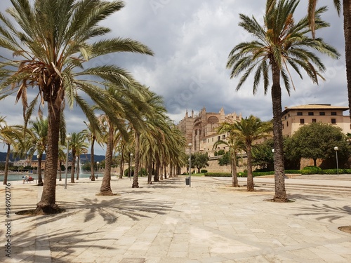Parc de la mar  Sea park  in front of La Seu Cathedral in Palma  Mallorca  Balearic Islands  Spain