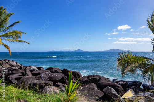 Palm trees on the coast of Basse-Terre, Trois Rivieres, Guadeloupe, Lesser Antilles, Caribbean. © Iryna Shpulak