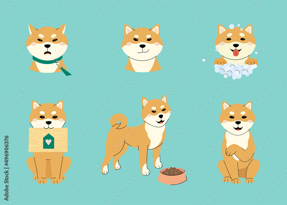 Set shiba inu puppy different poses emotions. Vector illustration flat hand-drawn style