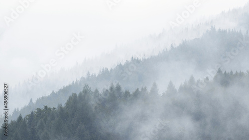 Dark forest and mountains, foggy landscape. 