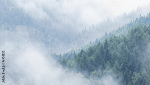 Misty foggy mountain landscape with fir forest and copyspace. Dark forest and mountains, foggy landscape