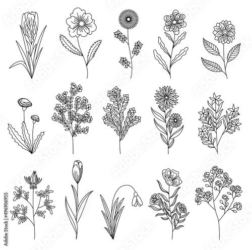 Silhouette of spring flowers icons. Botanical floral design set. Garden floral plants on white background. Good decoration for wedding invitations or scrapbook