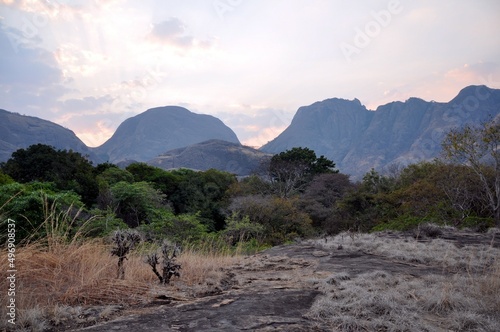 Northern Mozambique Mountains