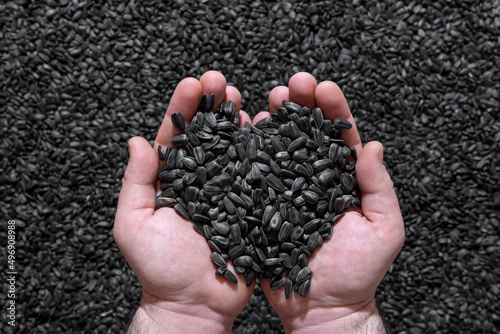Sunflower seeds in a man hands, top view. Pile of black sunflower seeds