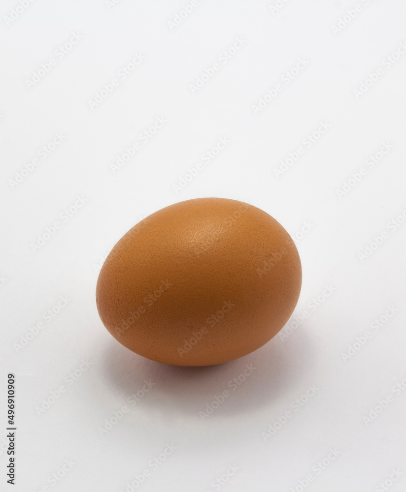 single brown egg on white background, free range egg copy space vertical