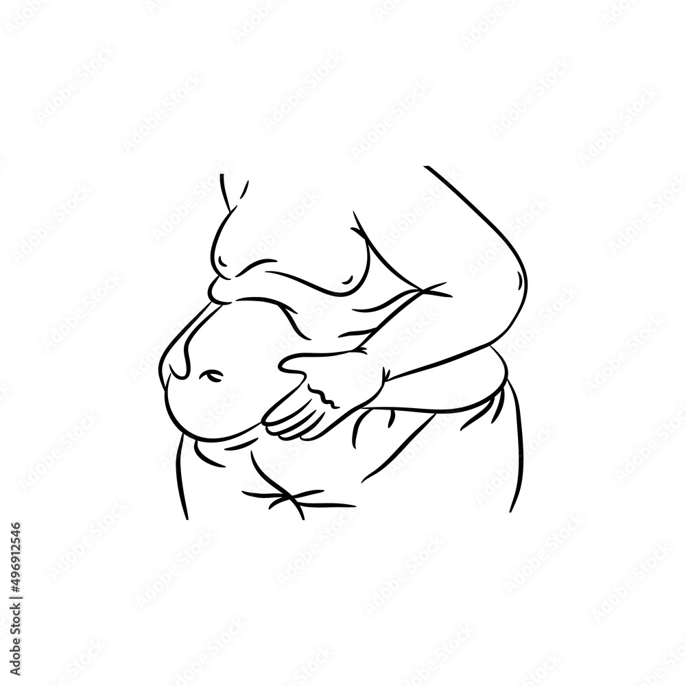 Obraz premium Fat male belly in hands. Hand drawn outline vector illustration.