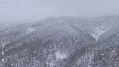 Looking over snowy forest and peaks from a gondola lift (Zao, Yamagata, Japan) photo