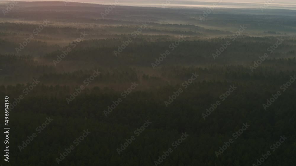 Aerial view of the forest in the fog Aerial view of the forest in the fog