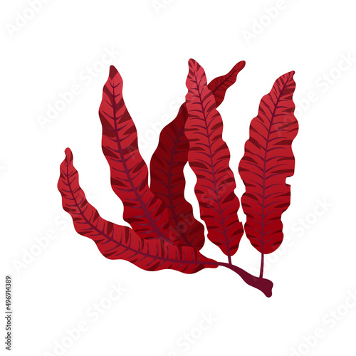 Flat Seaweed Illustration
