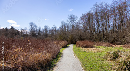 Scenic Trail in a city park with green trees during sunny winter day.