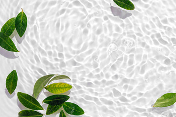 Green leaves on water surface. Beautiful water ripple background for product presentation. Copy space
