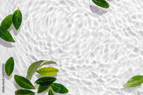 Green leaves on water surface. Beautiful water ripple background for product presentation. Copy space