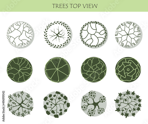 Tree for architectural floor plans. Entourage design. Various trees, bushes, and shrubs, top view for the landscape design plan. Vector illustration.