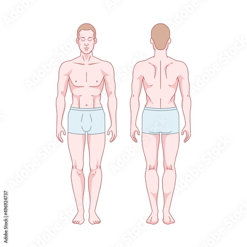 White man figure standing, silhouette, front and back view. Male body anatomy diagram. Removable underwear. Vector illustration
