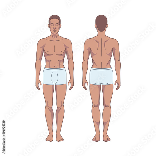 Black man figure standing, silhouette, front and back view. Male body anatomy diagram. Removable underwear. Vector illustration © paw