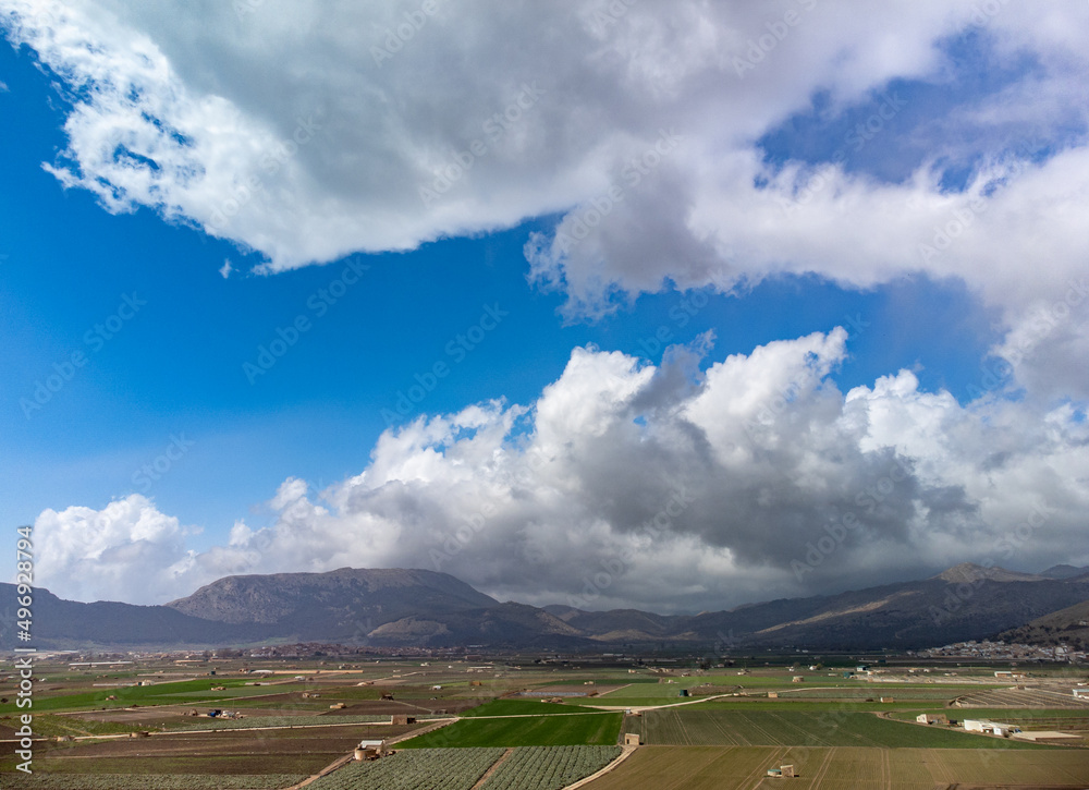 Farm fields with rows of green lettuce salad. Aerial view on agricultural valley Zafarraya with fertile soils for growing of vegetables, green lettuce salad, cabbage, artichokes, Andalusia, Spain
