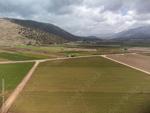 Farm fields with rows of green lettuce salad. Aerial view on agricultural valley Zafarraya with fertile soils for growing of vegetables, green lettuce salad, cabbage, artichokes, Andalusia, Spain © barmalini
