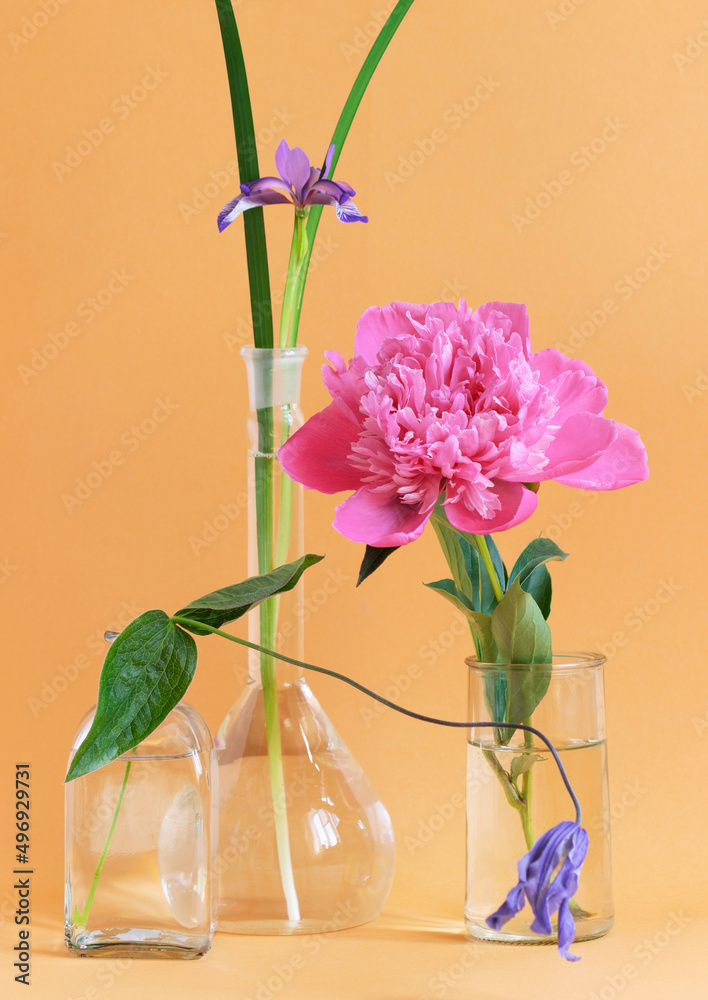 Arrangement of various flowers, iris, aquilegia, peony in glass vases.