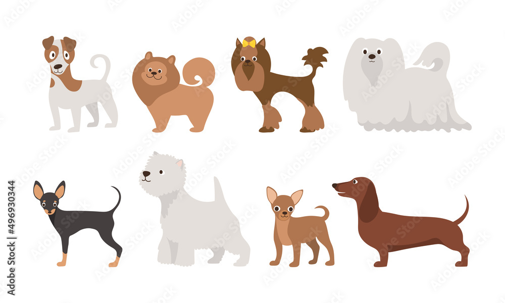 Dogs set. Vector illustration of different breeds of adult dogs in trendy flat style. Isolated on white.