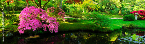 japanese garden in The Hague