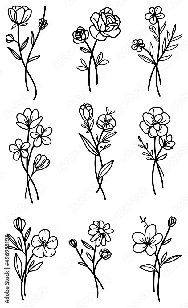 Selection of flower stems poppy rose daisy line art editable outline ...