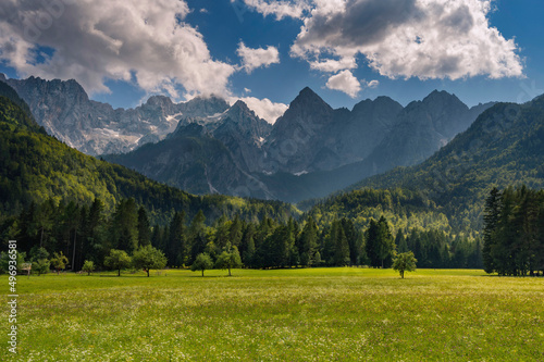 Panoramic landscape of The Julian Alps in Slovenia during summer