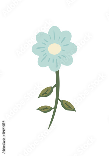 cute flat blue flower