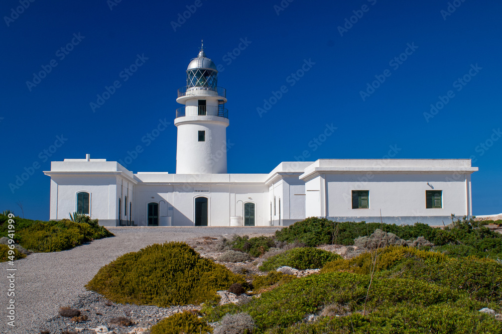 white lighthouse building with green plants in front against deep blue sky