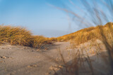 danish dune in sunshine with sand