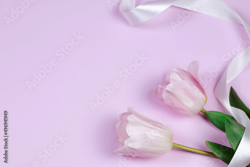 Fototapeta Naklejka Na Ścianę i Meble -  Spring holiday background with pink tulip flowers on pink background. Congratulatory background with copy space.