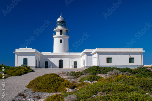white lighthouse building with green plants in front against deep blue sky © reliant_de