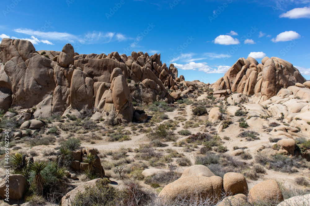 Fortress Path Jumbo Rocks - Joshua Tree, California - March 2022 Fortress Path Jumbo Rocks - Joshua Tree, California - March 2022