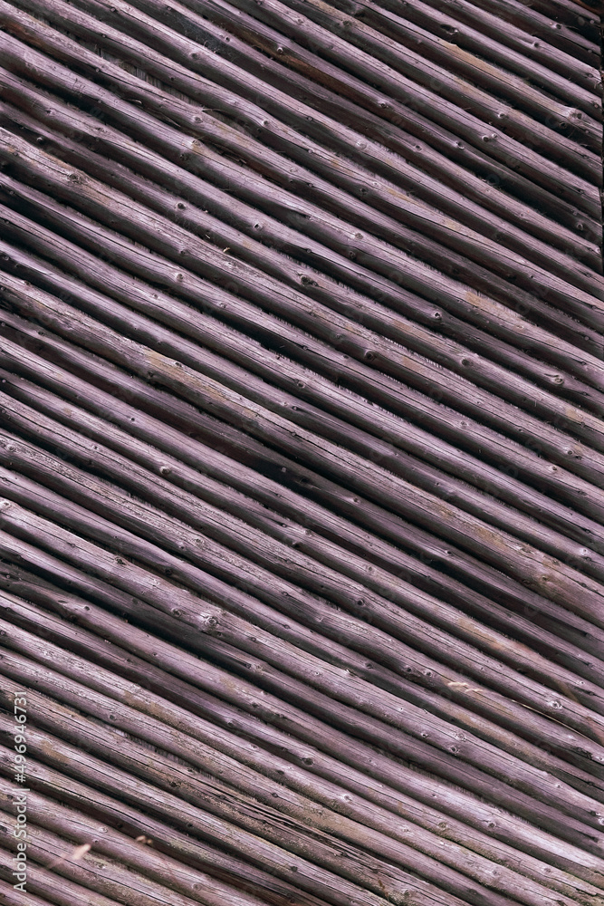 vertical texture wood tree branch vertical texture wood tree branch