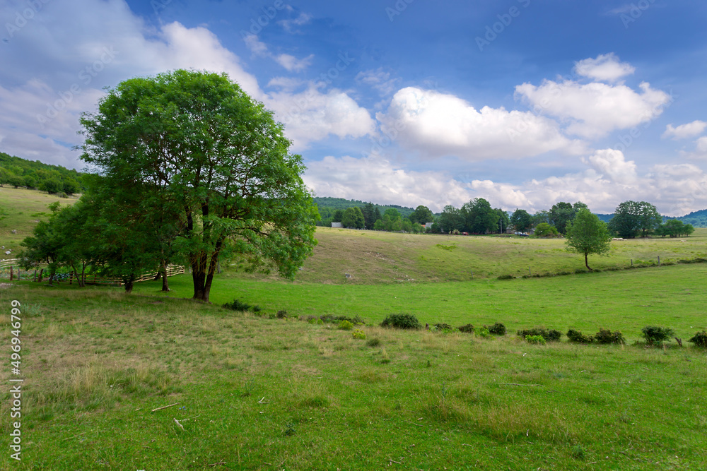 beautiful rural landscape. Summer day. Croatia. beautiful rural landscape. Summer day. Croatia.