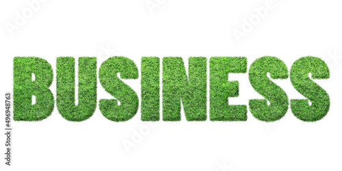 Business text in Green Grass texture , Isolated On White Background. Font For Your Design. 3D