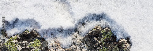 Lichen stone in the snow. Natural winter background. Closeup top view. The nature of the Arctic. Polar region.