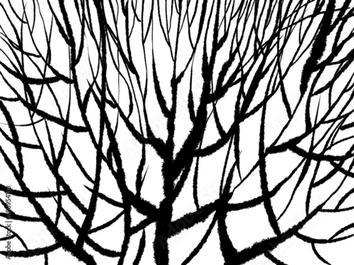 Tree branches mesh net ink texture background. Vintage black and white illustration mesh. Doodle abstract decorative pattern. Grunge ink drawing, modern paper art black texture mockup white backdrop.