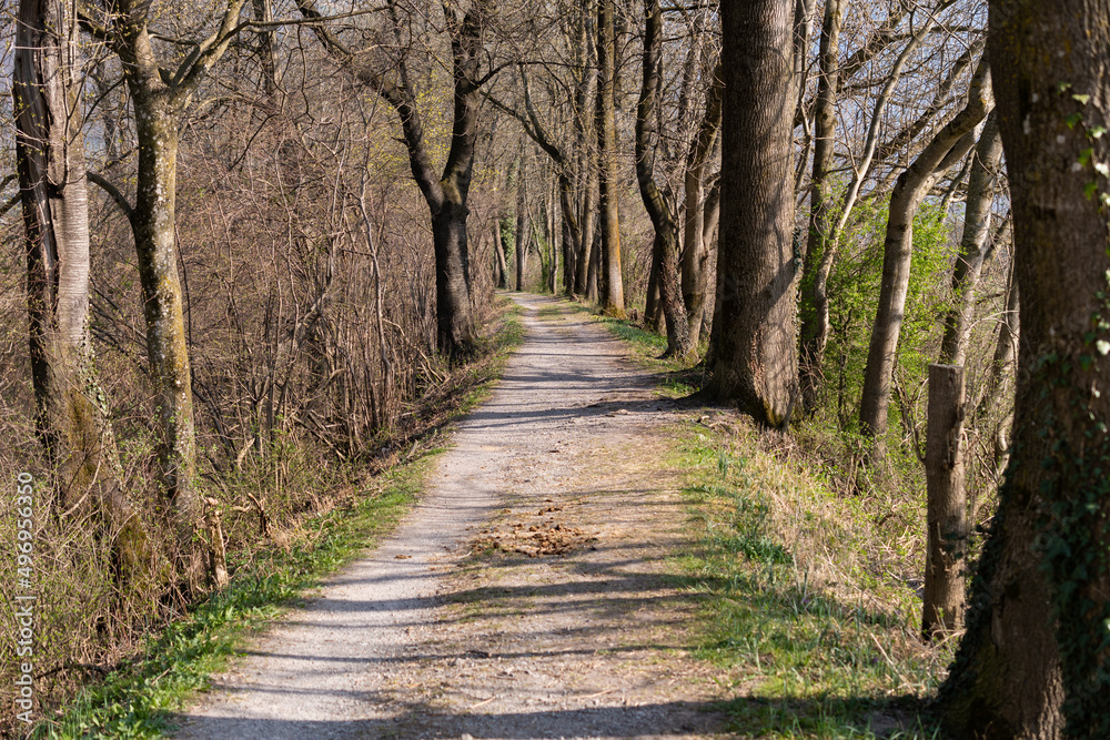 Pedestrian way through a forest in Vaduz in Liechtenstein Pedestrian way through a forest in Vaduz in Liechtenstein