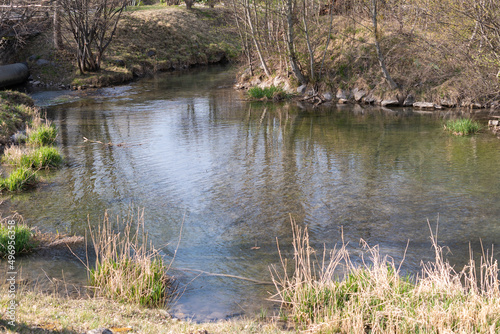 Little river in a natural scenery in Vaduz in Liechtenstein © Robert