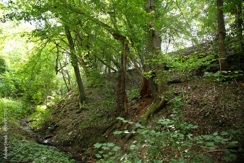 Spalter Hügelland / Spalter Hills /