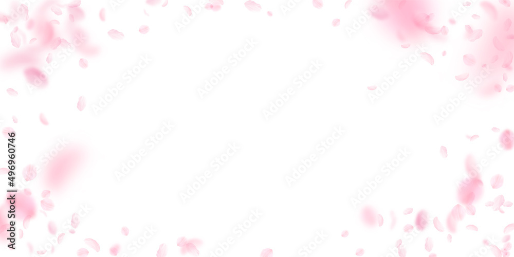 Sakura petals falling down. Romantic pink flowers vignette. Flying petals on white wide background. Love, romance concept. Radiant wedding invitation.