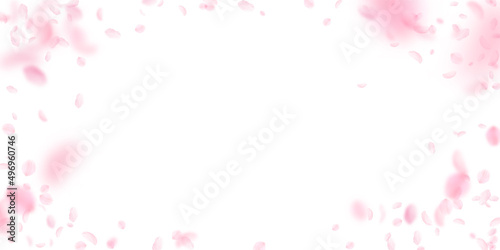 Sakura petals falling down. Romantic pink flowers vignette. Flying petals on white wide background. Love  romance concept. Radiant wedding invitation.
