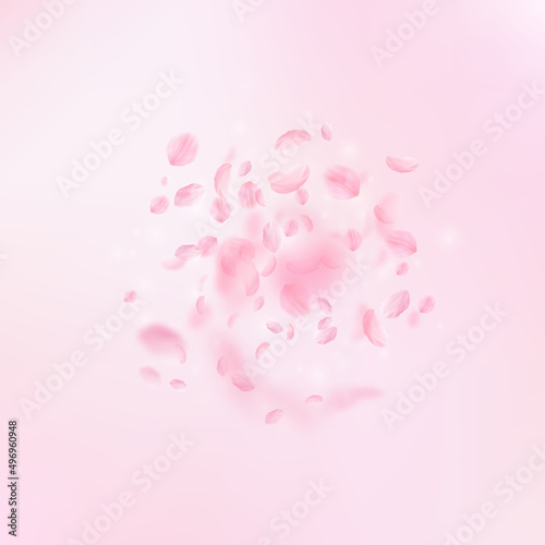 Sakura petals falling down. Romantic pink flowers explosion. Flying petals on pink square background. Love, romance concept. Favorable wedding invitation.