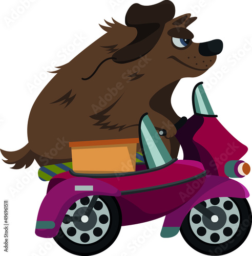 Russian bear in a hat with earflaps rides a motorcycle